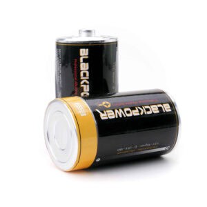 Battery Type-D Stash Storage Container Party Box USA