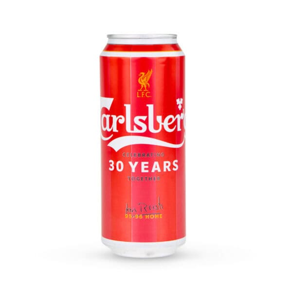 Carlsberg Beer Stash Can Diversion Safe Party Box USA