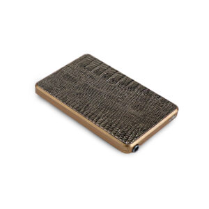 Royal Box Lizard Bronze Snuff Kit Party Box USA