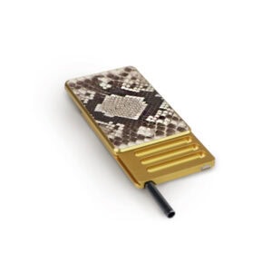 Royal Box Python Gold Snuff Set Party Box USA